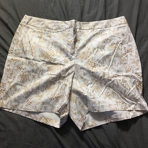 Cato Pants - Cato Shorts Cato Pants - Cato Shorts